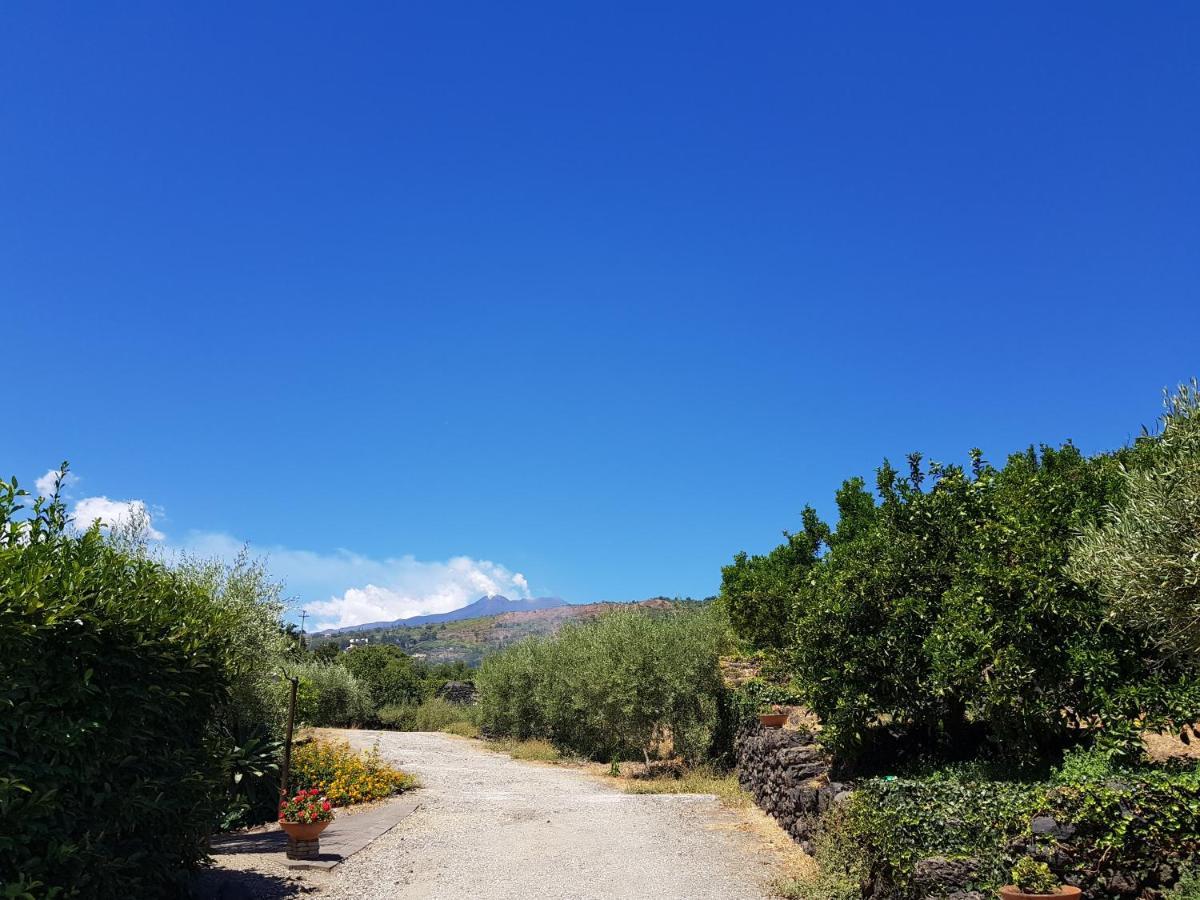 Agriturismo Le Case Di Civi Mascali Exterior foto